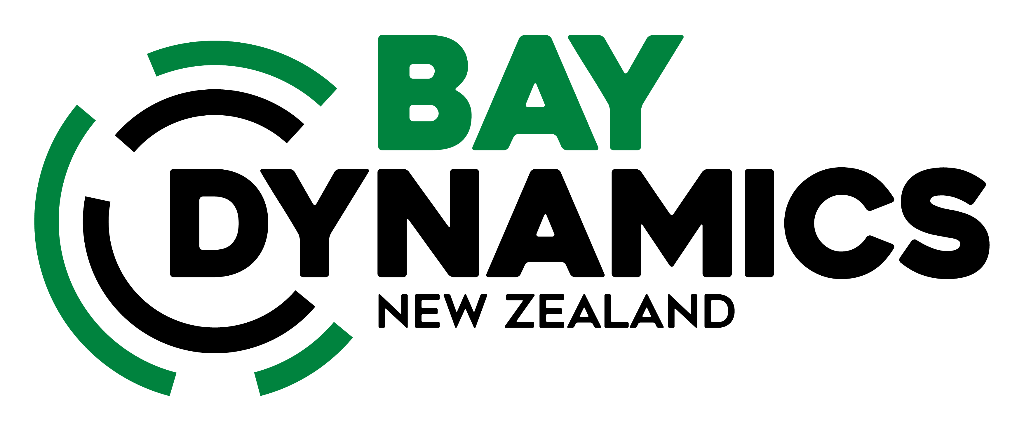 Bay_Dynamics_Logo_RGB (1)